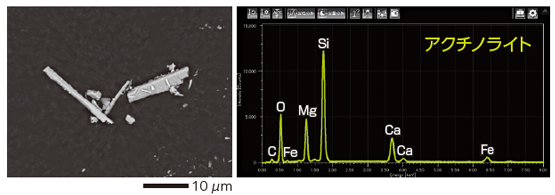 SEM/EDS阳起石石棉观察结果和元素分析结果
