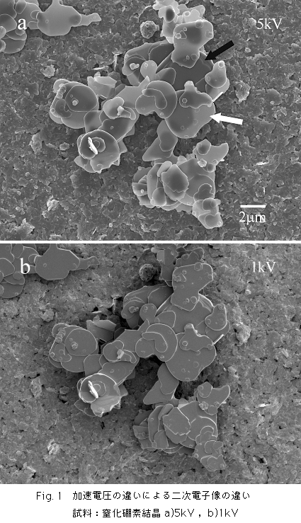图1 由于加速电压差异导致的二次电子图像差异