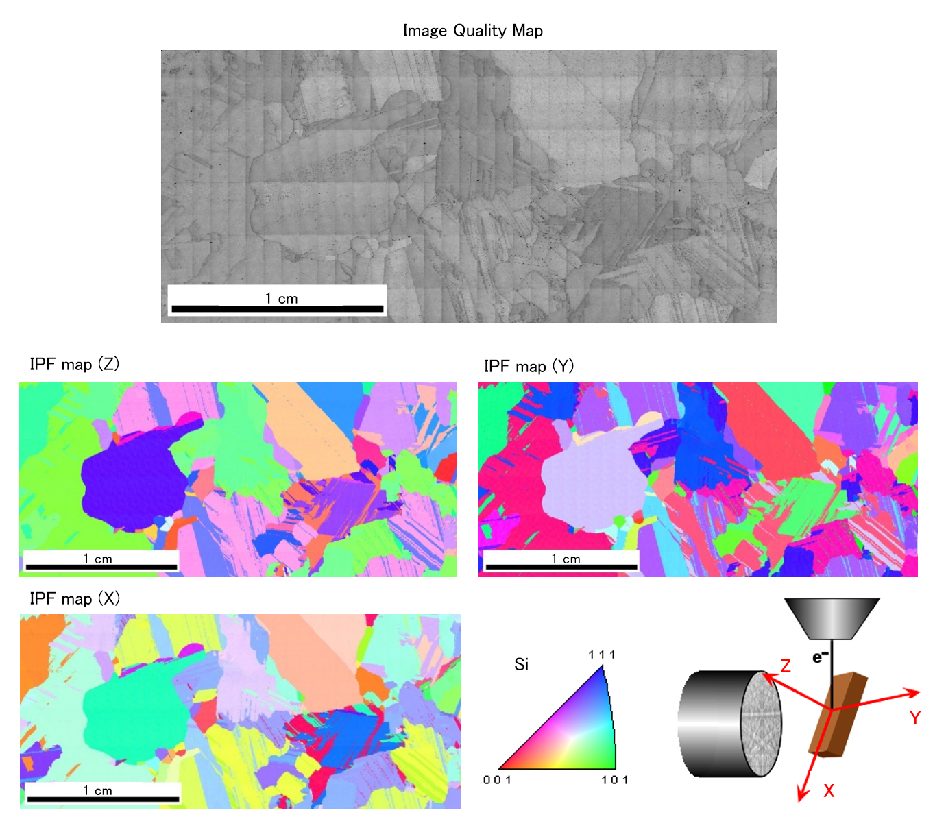广域定向图分析