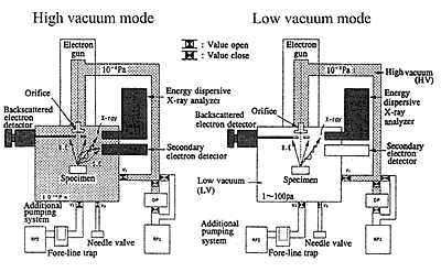 低真空SEM真空抽真空系统