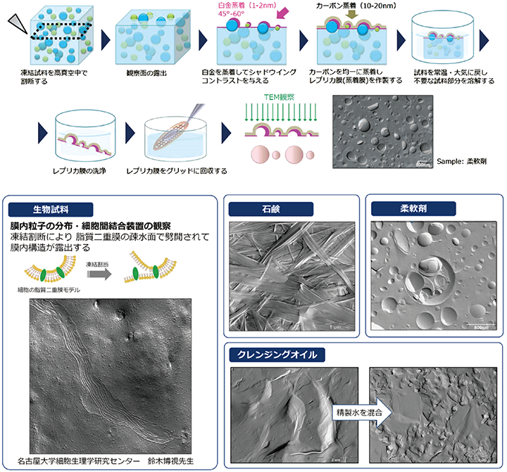 软质样品和含水样品的电镜观察冷冻断裂法