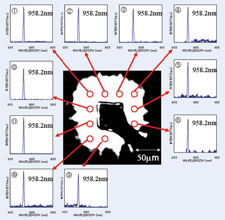 图3 激光振荡后的近场图像及各部分振荡谱