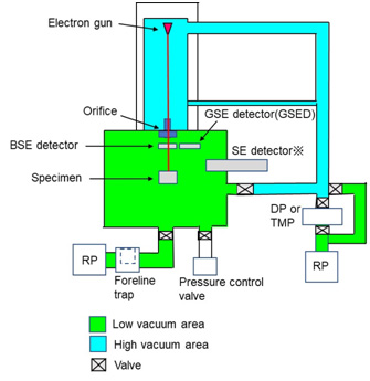 LVSEM 真空排气系统示意图。