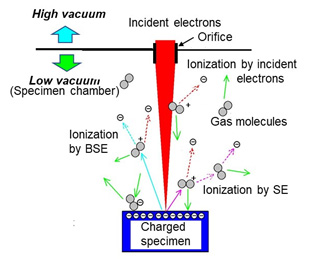 电荷中和功能。